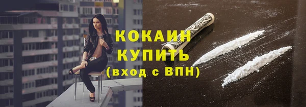 сатива Волоколамск