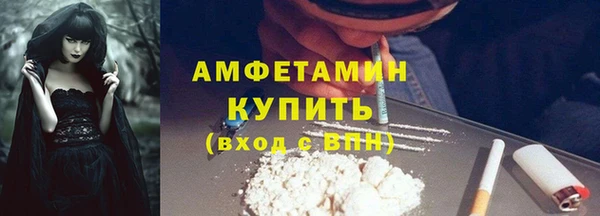 трава Гусиноозёрск