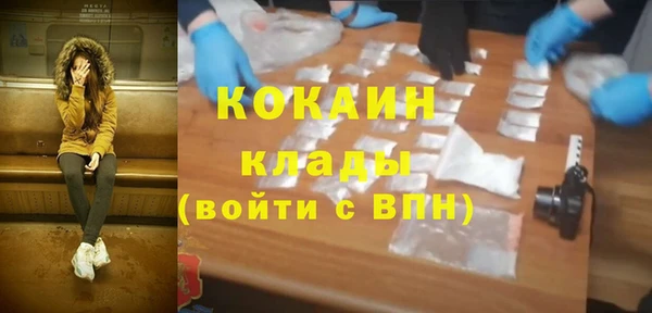 трава Гусиноозёрск
