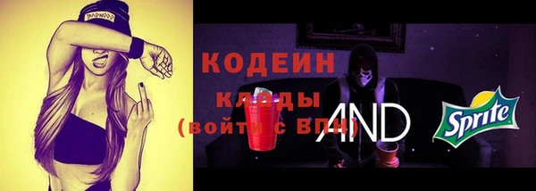 твердый Вяземский