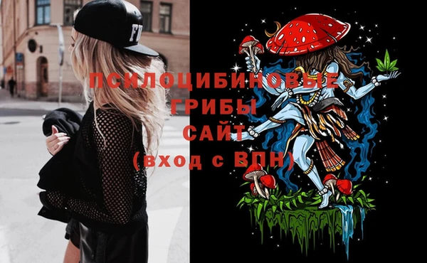 стаф Вязники