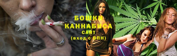 стаф Вязники