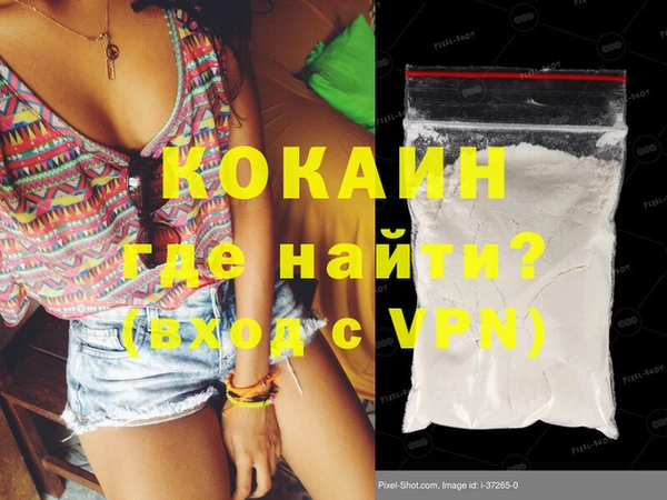 твердый Вяземский