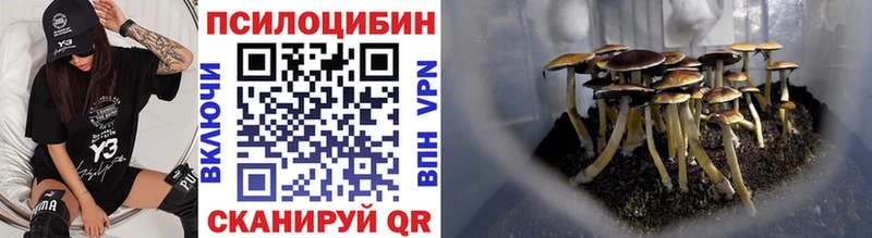Галлюциногенные грибы прущие грибы  где можно купить наркотик  Донецк 